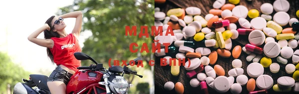 стафф Чита