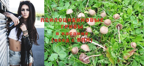стафф Чита