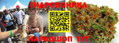 гашик Балаково