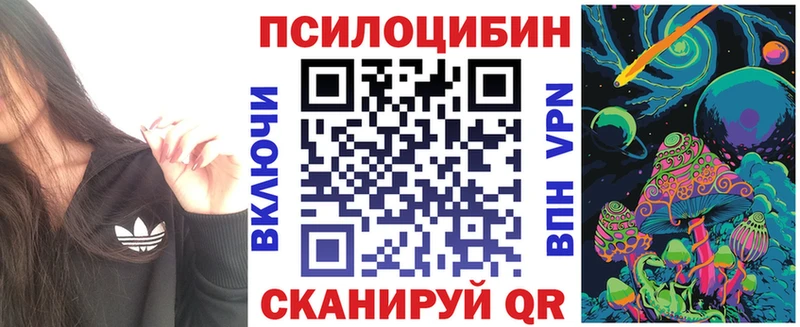 дарнет шоп  Белогорск  Псилоцибиновые грибы MAGIC MUSHROOMS 