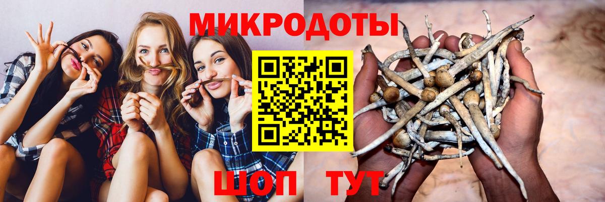 Псилоцибиновые грибы Psilocybe  Галлюциногенные грибы MAGIC MUSHROOMS  Белогорск 