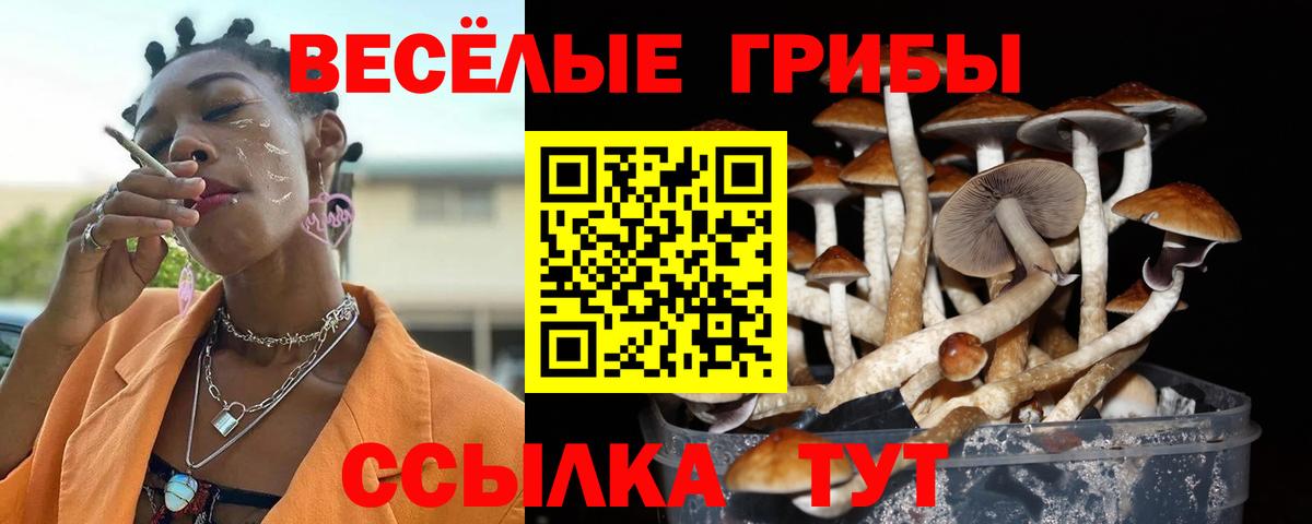 Псилоцибиновые грибы Magic Shrooms Белогорск