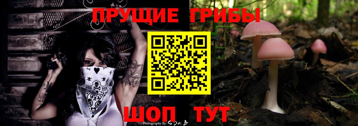 Белогорск  Галлюциногенные грибы Magic Shrooms  Вход с VPN 